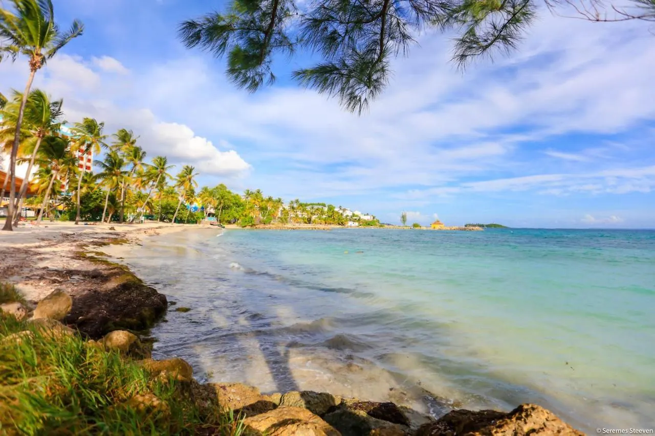 Apartment Le Paradis Studio Avec Son Access Plage Et Sans Coupure D'Eau Le Gosier  Guadeloupe