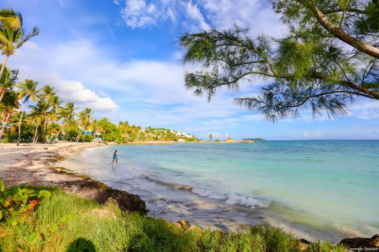 Le Paradis Studio Avec Son Access Plage Et Sans Coupure D'Eau Le Gosier  Apartment Le Gosier (Grande-Terre)
